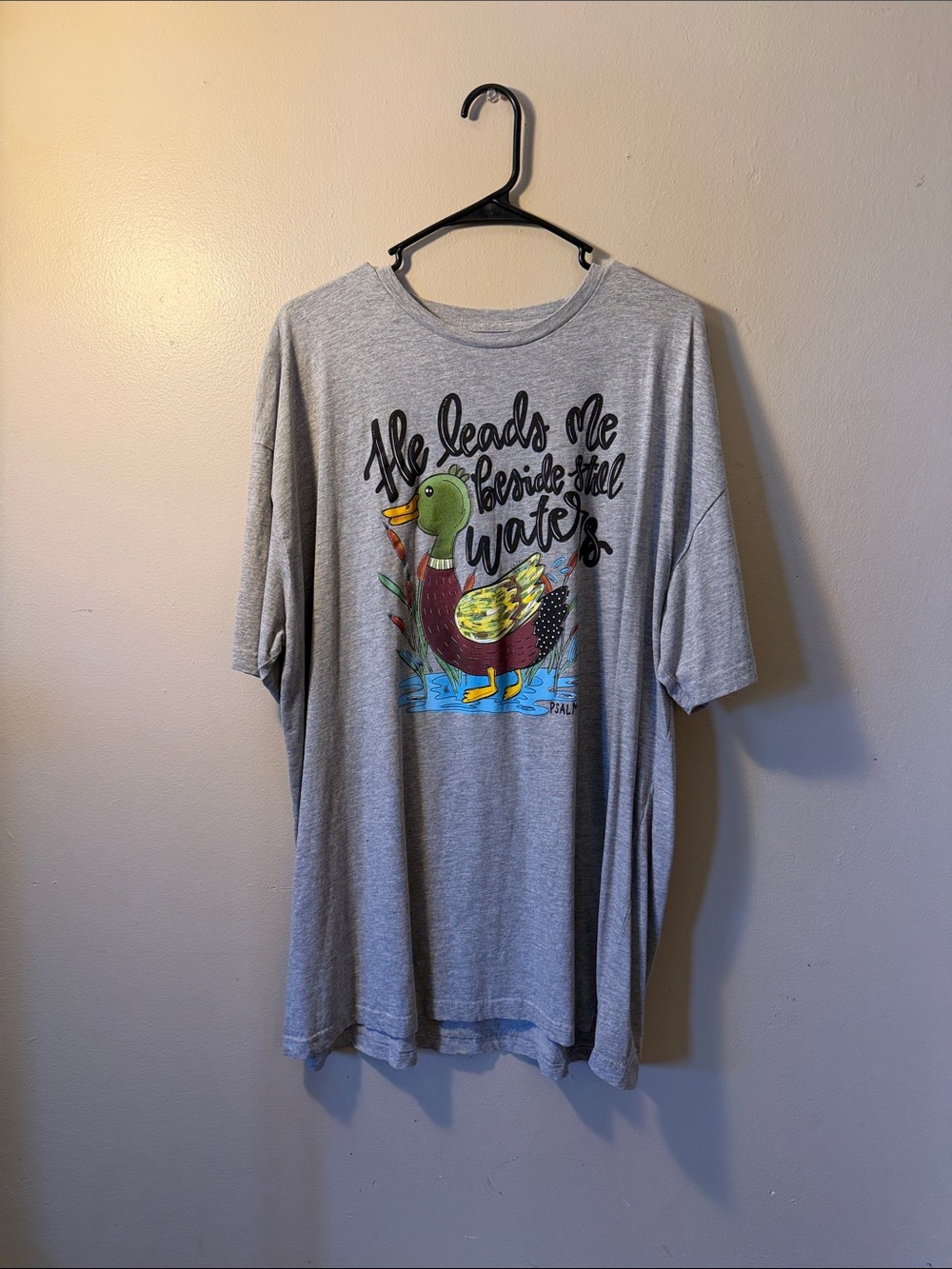 Love in Faith 3X Gray Graphic Duck Tee with Colorful Illustration”He leads me…